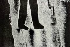 Chris Christodoulou